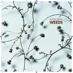 'Beverly Penn: Weeds' Exhibition Catalog