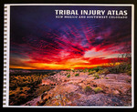 Tribal Injury Atlas for New Mexico and Southwest Colorado by Anne Giangiulio