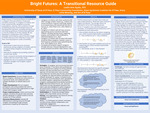 Bright Futures: A Transitional Resource Guide​ by Leslie Ayala