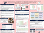 Optimizing Postpartum Recovery: An Occupational Therapy–Informed Home-Based Education Program