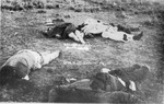 Tragedies of war, Dead soldiers